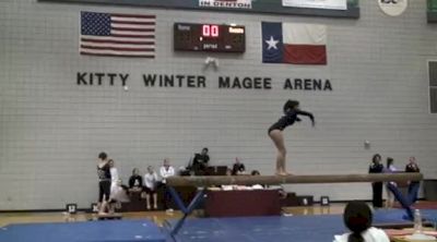 Aerial Athletics (Madeline Martinez)