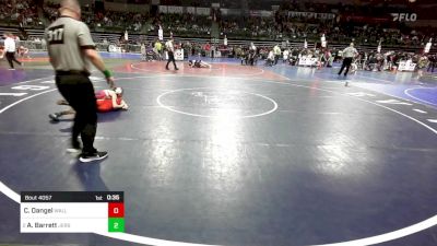 80 lbs Quarterfinal - Cadence Dangel, Wall Knights vs Abigail Barrett, Jersey 74