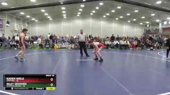 160 lbs Round 4 (6 Team) - Riley Dehaven, Wyoming Brown vs Kaden Wiele, Iowa Red