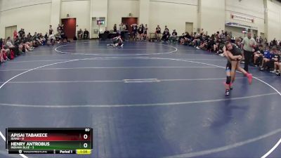 80 lbs Round 4 (6 Team) - Apisai Tabakece, Idaho vs Henry Antrobus, Indiana Blue