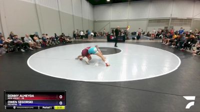 138 lbs Round 1 (8 Team) - Donny Almeyda, New Jersey vs Owen Segorski, Michigan