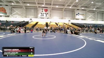 75 lbs 1st Place Match - Anthony Herron, Carmel Youth Wrestling Club vs Colton LoGalbo, District 3 Wrestling