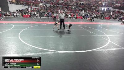 45 lbs Cons. Round 3 - Liam Hager, Wausau West Warriors vs Bentley Anderson, Spring Valley / Elmwood