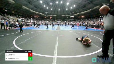 49 lbs 3rd Place - Graycie Card, Tulsa Blue T Panthers vs Audrey Hembree, Wyandotte Youth Wrestling