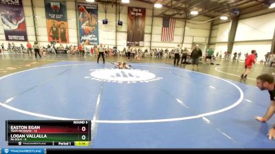 60 lbs Rd# 8- 12:30pm Saturday Final Pool - Logan Vallalla, PA Gold vs Easton Egan, Team Michigan