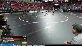 D3-126 lbs 3rd Place Match - Brett Birchman, Fennimore vs Kaleb Mannel, Weyauwega-Frem.