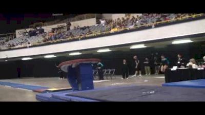 Twistars (Arlyn Amor)