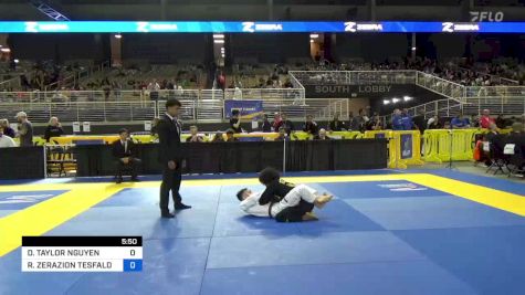DYLAN TAYLOR NGUYEN vs ROBIEL ZERAZION TESFALDET 2024 Pan Jiu Jitsu IBJJF Championship