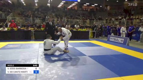VINÍCIUS GÓES BARBOSA vs VINÍCIUS DO CANTO MARTINS 2024 Pan Jiu Jitsu IBJJF Championship