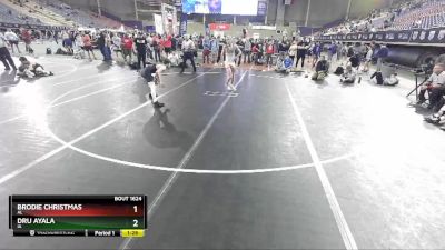 113 lbs Semifinal - Brodie Christmas, AL vs Dru Ayala, IA