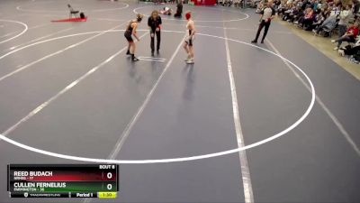 84 lbs Semis & 1st Wrestleback (8 Team) - Cullen Fernelius, Farmington vs Reed Budach, NRHEG