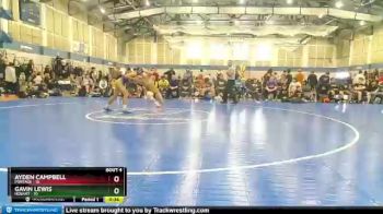 110 lbs Placement (4 Team) - Gavin Lewis, Hobart vs Ayden Campbell, Portage