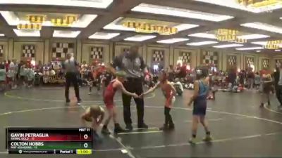 60 lbs Finals (8 Team) - Gavin Petraglia, SVRWC Gold vs Colton Hobbs, Mat Assassins