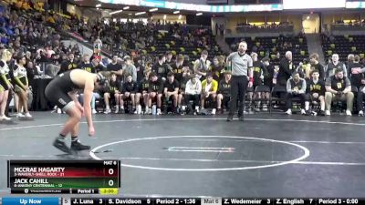 195 lbs Quarterfinal - McCrae Hagarty, 3-Waverly-Shell Rock vs Jack Cahill, 6-Ankeny Centennial