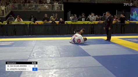 WELLINGTON DA SILVA ANDRADE vs AVERY JOSEPH NORRIS 2024 Pan Jiu Jitsu IBJJF Championship