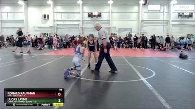 88 lbs Round 2 (10 Team) - Lucas Layne, Carolina Hammer Squad vs Ronald Kaufman, Ohio Gold 10K