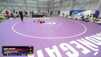 138 lbs Semis & 3rd Wb (16 Team) - Cody Trevino, Iowa vs Cameron Plotts, Ohio Gray