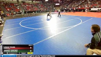 D3-138 lbs Champ. Round 1 - Andres Sanchez, Wittenberg-Birnamwood vs Logan Young, Pardeeville