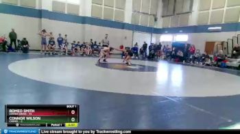 132 lbs Round 1 (4 Team) - Romeo Smith, Center Grove vs Connor Wilson, Carmel