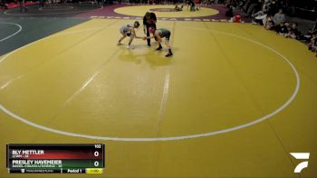 102 lbs Semis (4 Team) - Bly Mettler, LCWM vs Presley Havemeier, Dassel-Cokato-Litchfield