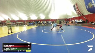 175 lbs Round 3 (16 Team) - Ettore Pinnella, Wadena-Deer Creek vs Rylee Wanek, Riverdale