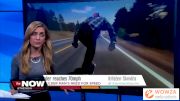 Replay: Main - 2025 ActiveActive V1 QA | May 13 @ 1 PM