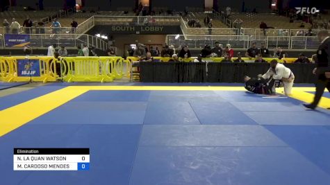 NICHOLAS LA QUAN WATSON vs MATEUS CARDOSO MENDES 2024 Pan Jiu Jitsu IBJJF Championship