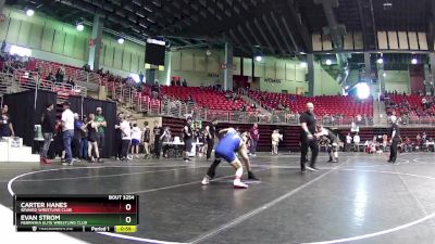 110 lbs 7th Place Match - Evan Strom, Nebraska Elite Wrestling Club vs Carter Hanes, Seward Wrestling Club