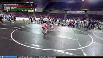 W-117 lbs 4th Wrestleback (16 Team) - Jalynn Goodale, Iowa vs Phoebe Dowty, Indiana