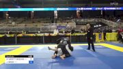 ASHLEY GARETT MEEHAN vs JEREMY BRICK 2024 Pan Jiu Jitsu IBJJF Championship