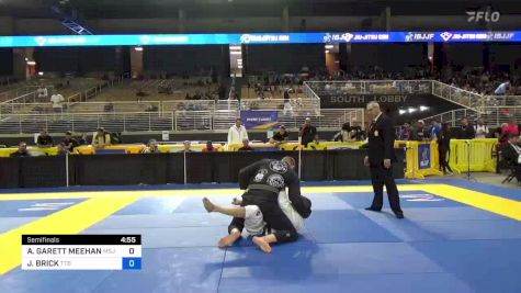 ASHLEY GARETT MEEHAN vs JEREMY BRICK 2024 Pan Jiu Jitsu IBJJF Championship
