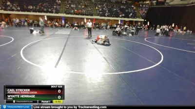 95 lbs Cons. Round 2 - Wyatte Herriage, Iowa vs Cael Stricker, McDominate Training Center