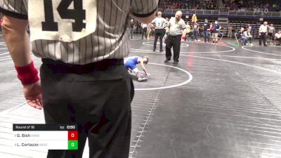 50 lbs Round Of 16 - Grayson Bish, Harbor Creek vs Luca Cortazzo, West Jefferson Hills