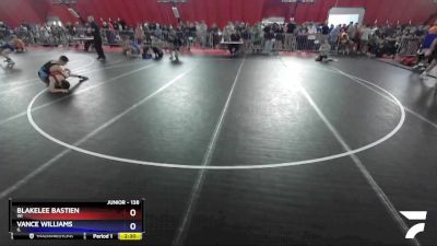 138 lbs Cons. Round 3 - Blakelee Bastien, WI vs Vance Williams, IL