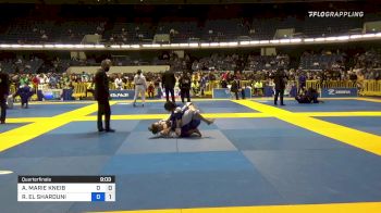 ANN MARIE KNEIB vs ROSE-MARIE EL SHAROUNI 2021 World Jiu-Jitsu IBJJF Championship