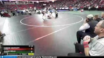 D1-220 lbs Cons. Semi - Carson Westcott, Holmen vs Mason Wells, Pulaski