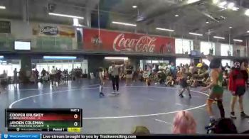 60 lbs Finals (2 Team) - Cooper Eruskey, Alabama Elite Gold vs Jayden Coleman, Panda Wrestling Academy