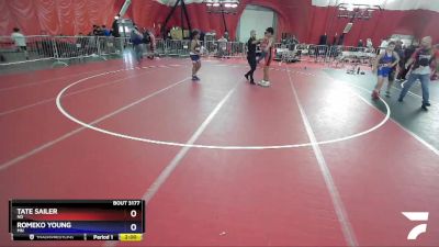 149 lbs Cons. Round 3 - Tate Sailer, ND vs Romeko Young, MN