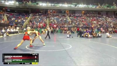 2A 160 lbs Quarterfinal - Dominic Hittepole, Wheatmore vs Andrew Meadows, East Surry