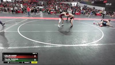 140 lbs Cons. Round 5 - Talon Tassoul, Luxemburg-Casco vs Collin Hamm, Wrestling Factory