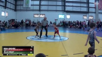 55 lbs Placement (4 Team) - Ellis Farley, DARKHORSE WRESTLING CLUB - BLACK vs Beau Grguric, NORTH CAROLINA WRESTLING FACTORY - BLUE