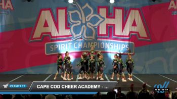 Cape Cod Cheer Academy - Junior Hammerheads [2023 L2 Junior - D2 Day 1] 2023 Aloha Worcester Showdown