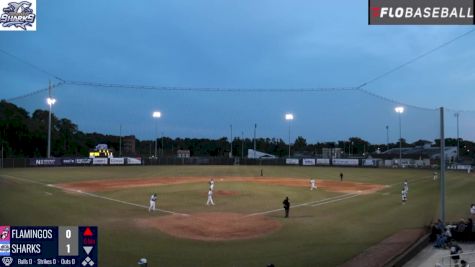 Replay: Flamingos vs Sharks | Jun 15 @ 7 PM