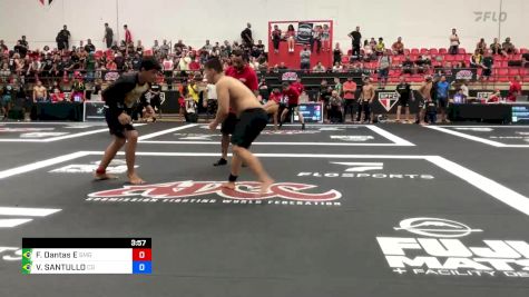 Fabio Dantas E vs VICENZO SANTULLO 2024 ADCC Sao Paulo Open
