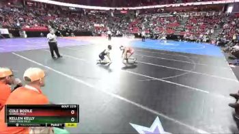 D2-132 lbs 3rd Place Match - Cole Bozile, Oconto Falls vs Kellen Kelly, Saint Croix Falls
