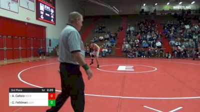 133 lbs 3rd place - Anthony Cefolo, Rider University vs DJ Fehlman, Lock Haven University