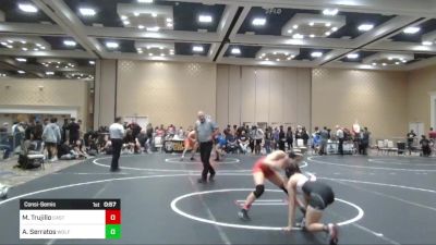 101 lbs Consolation - Maya Trujillo, Castro Valley WC vs Angelica Serratos, Wolfpack WC