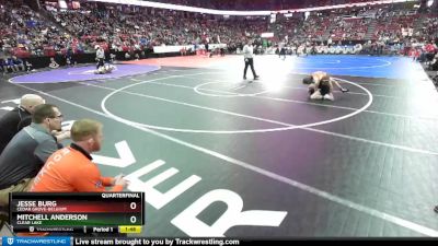 D3-126 lbs Quarterfinal - Mitchell Anderson, Clear Lake vs Jesse Burg, Cedar Grove-Belgium