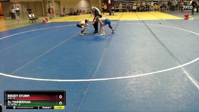 85 lbs Quarterfinals (8 Team) - Brody Sturm, K-M vs RJ Timmerman, St. Peter