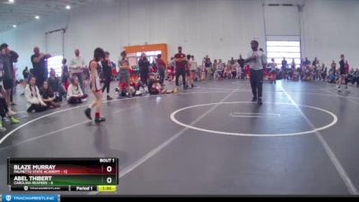 55 lbs Semis (4 Team) - Blaze Murray, Palmetto State Academy vs Abel Thibert, Carolina Reapers